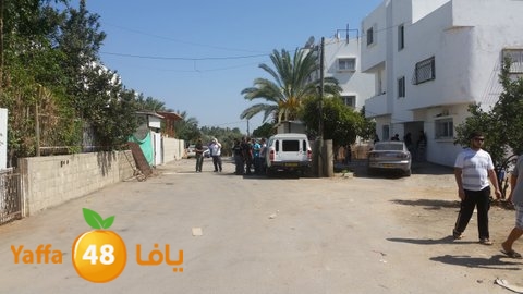 dahmashasudwq (8).jpg